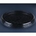 G 230 PR Forma Pizza Forneavel 30cm Preta  Caixa Com 50 Cj Galvanotek