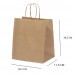 Sacola Kraft Natural 30,5x11,5x30,5cm - Pacote Com 10 Unidades