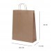 Sacola Kraft Natural 30,5x11,5x38cm - Pacote Com 10 Unidades