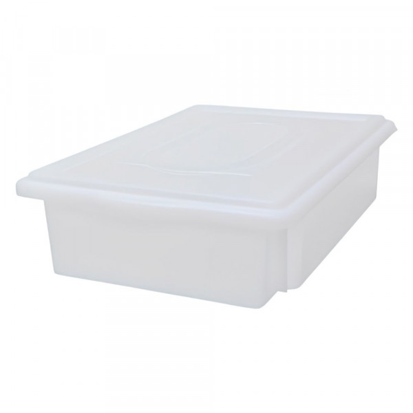Caixa Plastica Organizadora Com Tampa 41x29x10cm Dekacron Caixa Plastica Organizadora Com Tampa 41x29x10cm Dekacron