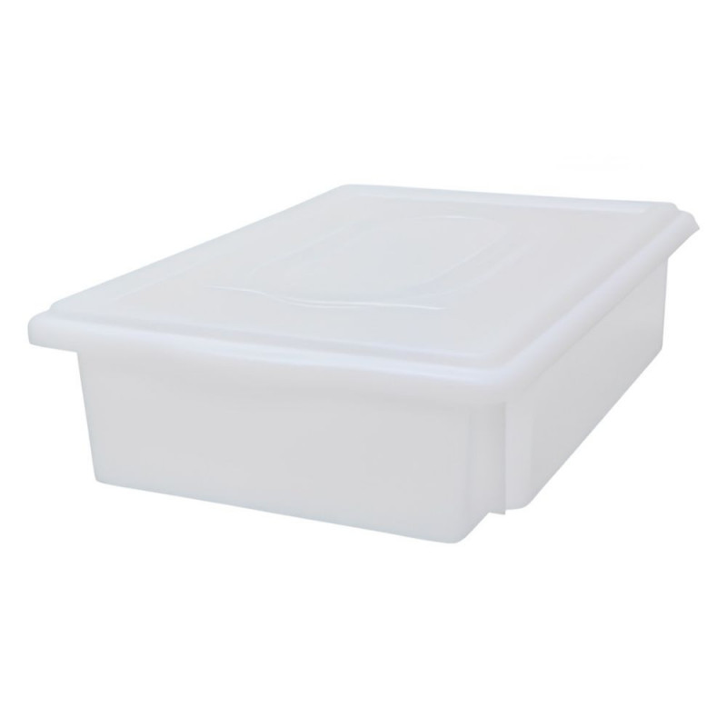 Caixa Plastica Organizadora Com Tampa 41x29x10cm Dekacron